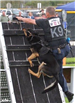 K-9 Officer Climbing Obstacle