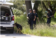 K-9 Officers Searching