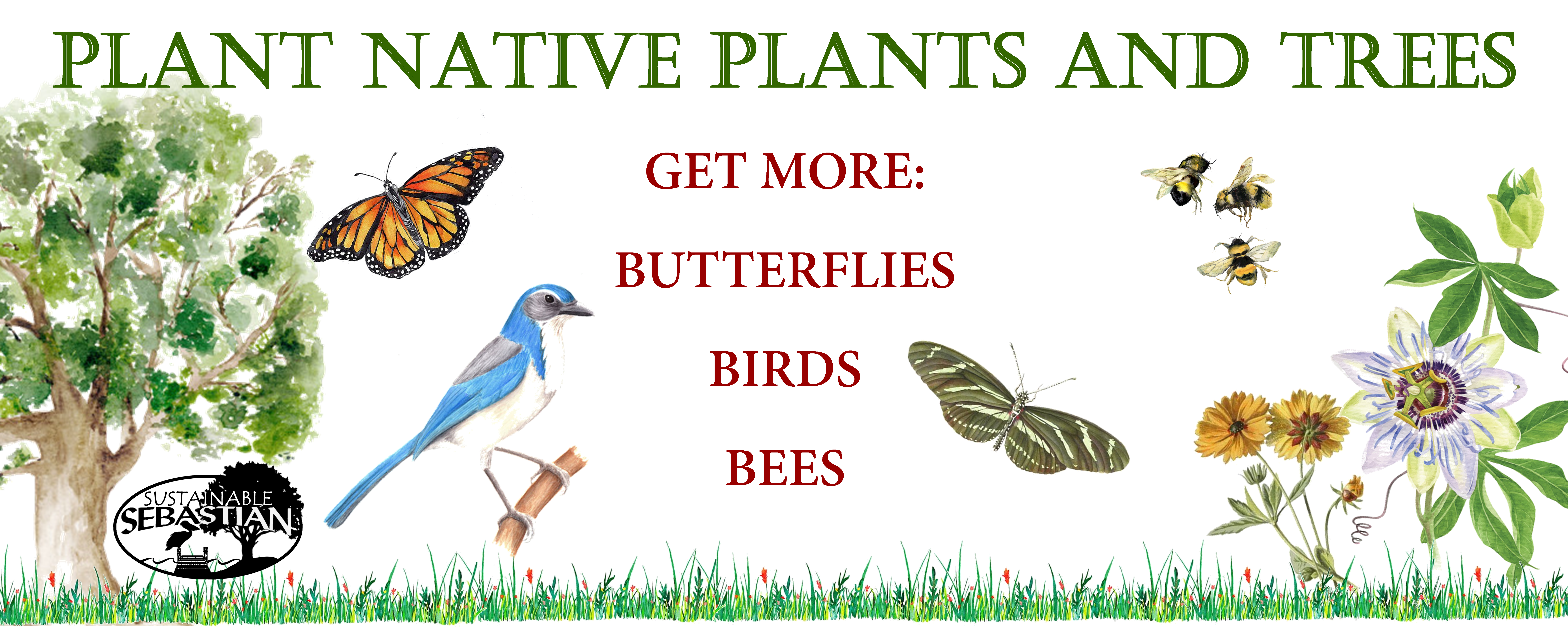NATIVE PLANTS BANNER