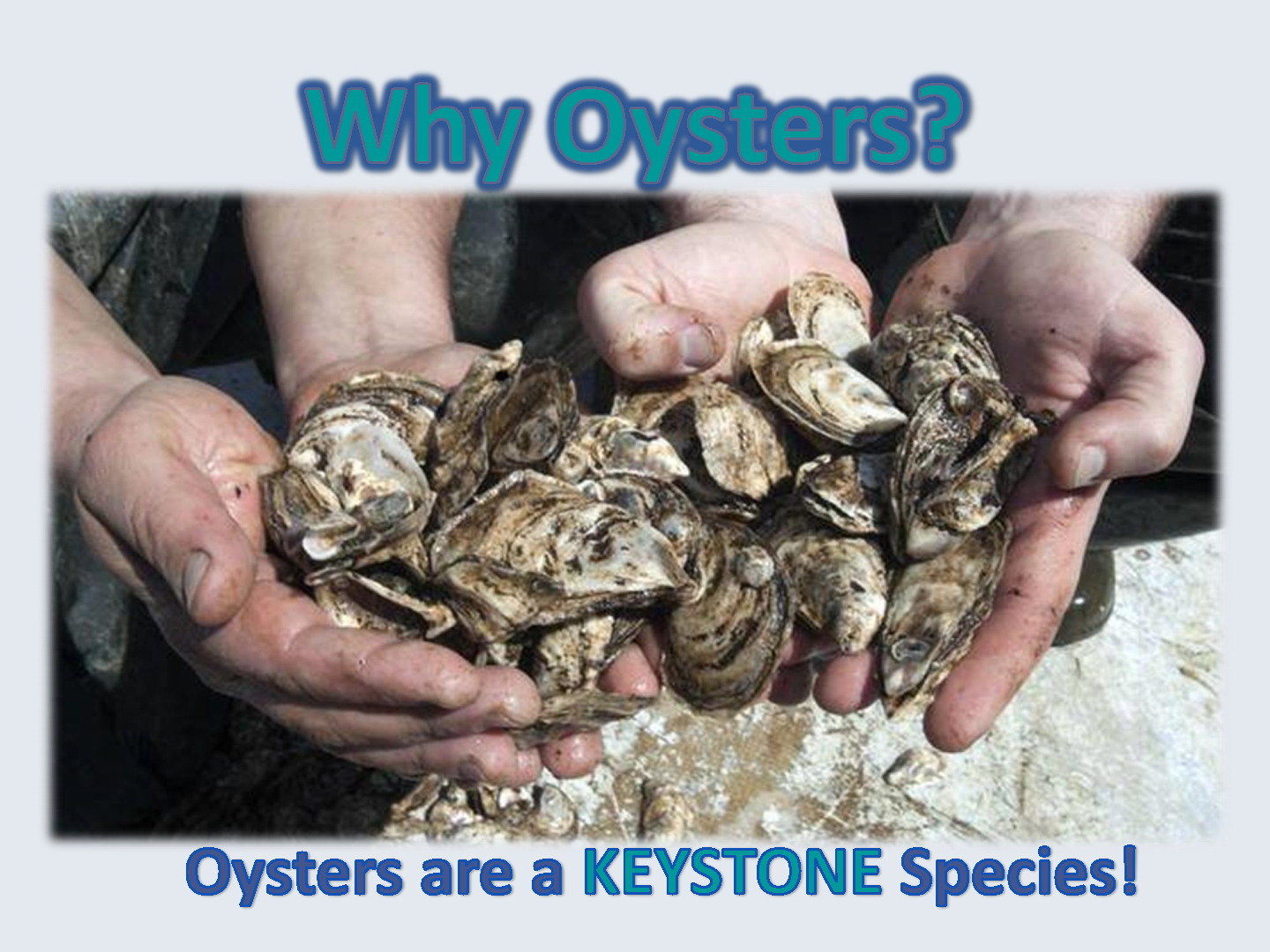 Outreach Edu PPT_Page1