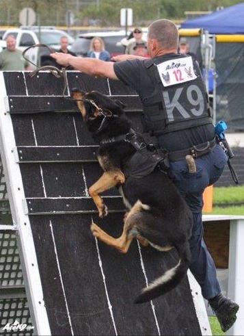 K-9 Officer Climbing Obstacle
