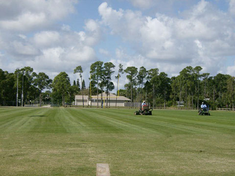 Barber Street Sports Complex 3