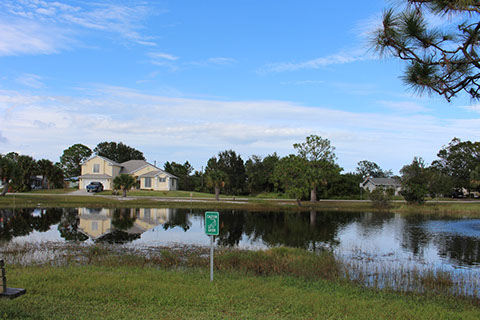 Blossom Street Park 3