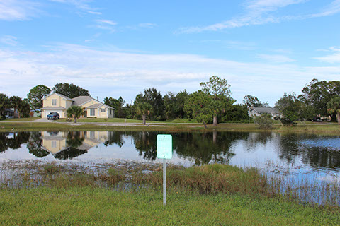 Blossom Street Park 5