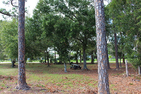 Periwinkle Park 9