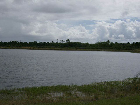 Schumann Lake Park 11